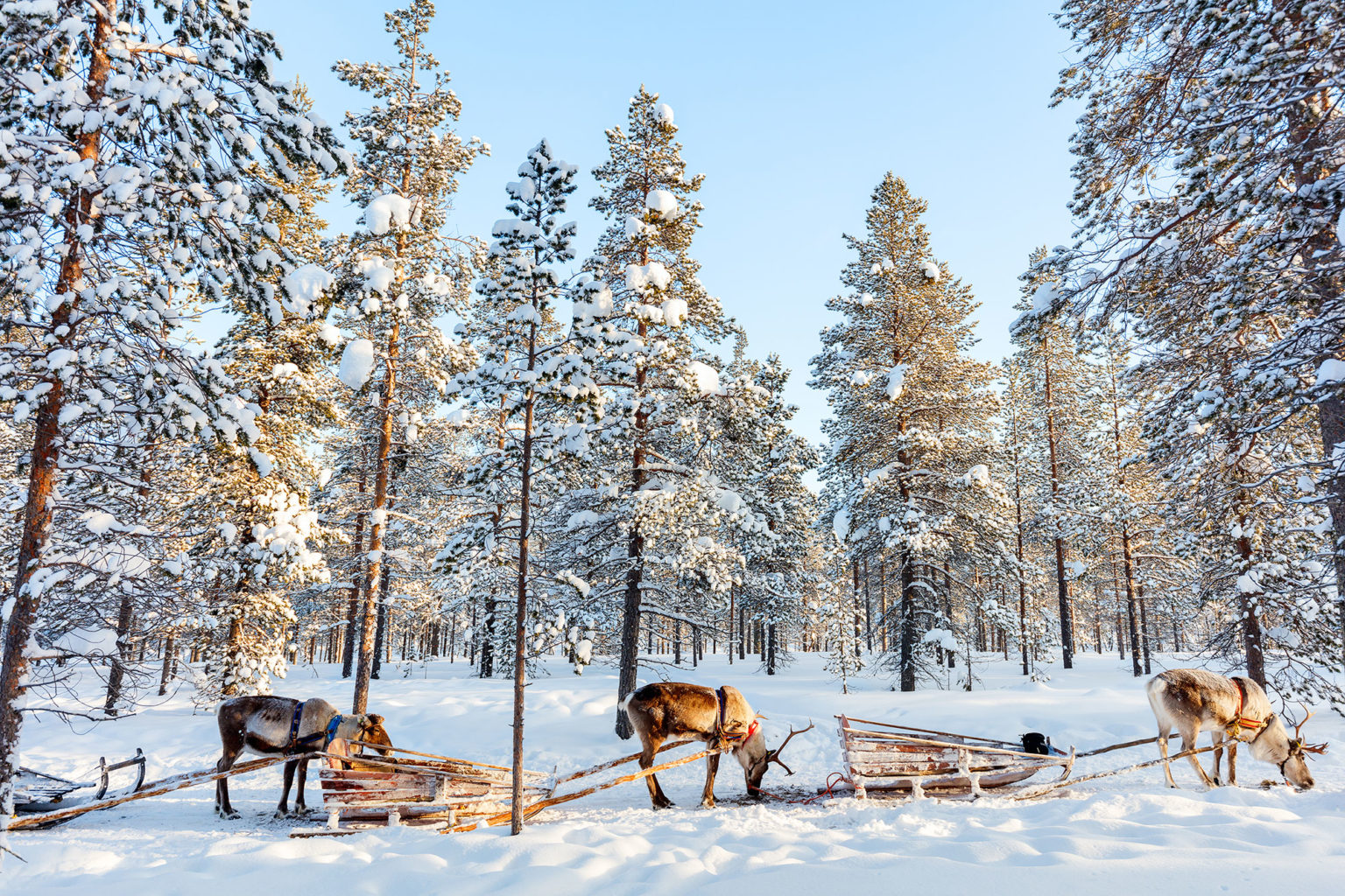 Lapland-Holiday-Experience-1
